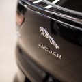 Common Seasonal Maintenance Tasks for European Import Auto Owners
